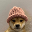 dogwifhat 로고